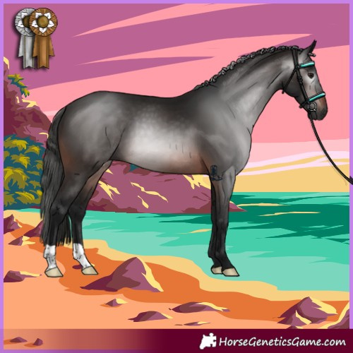 Horse Color:Gray Brown 