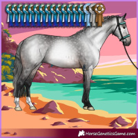 Horse Color:Gray Brown