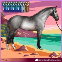 Horse Color:Gray Brown