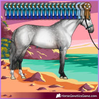 Horse Color:Gray Brown 