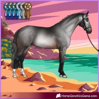 Horse Color:Gray Brown 