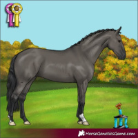 Horse Color:Grullo 