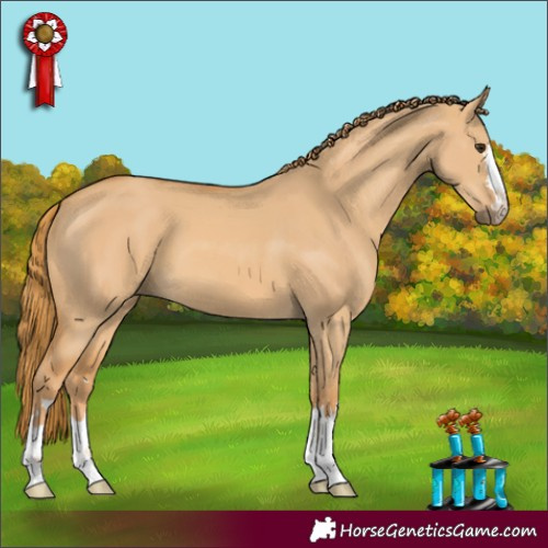 Horse Color:Red Dun 