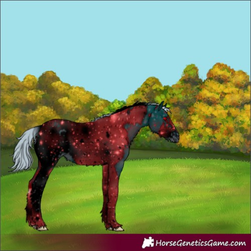 Horse Color:ERROR: UNKNOWN ANOMALY