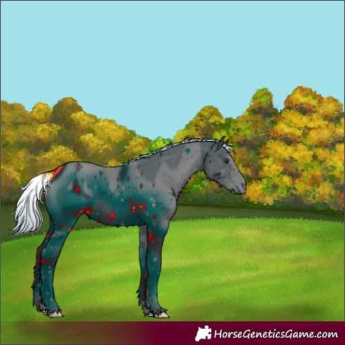 Horse Color:ERROR: UNKNOWN ANOMALY