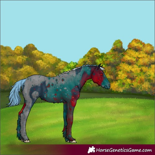 Horse Color:ERROR: UNKNOWN ANOMALY