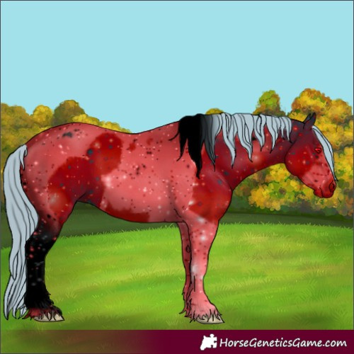 Horse Color:ERROR: UNKNOWN ANOMALY
