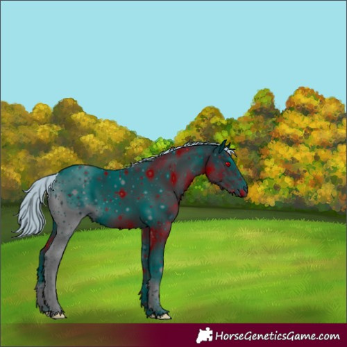 Horse Color:ERROR: UNKNOWN ANOMALY