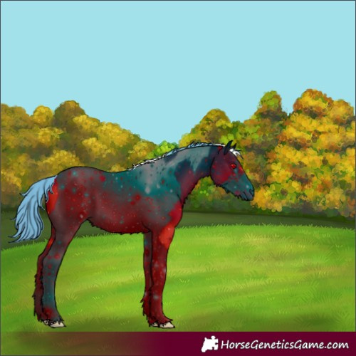 Horse Color:ERROR: UNKNOWN ANOMALY
