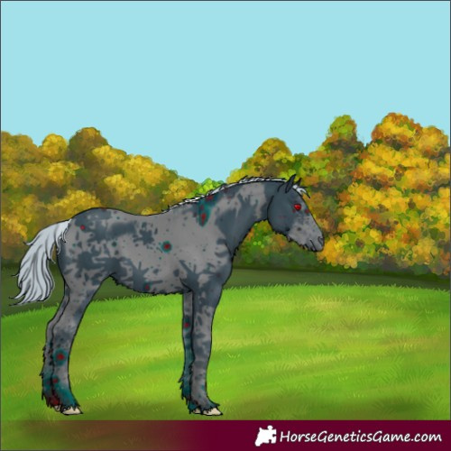Horse Color:ERROR: UNKNOWN ANOMALY