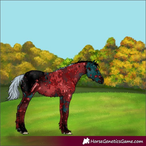 Horse Color:ERROR: UNKNOWN ANOMALY