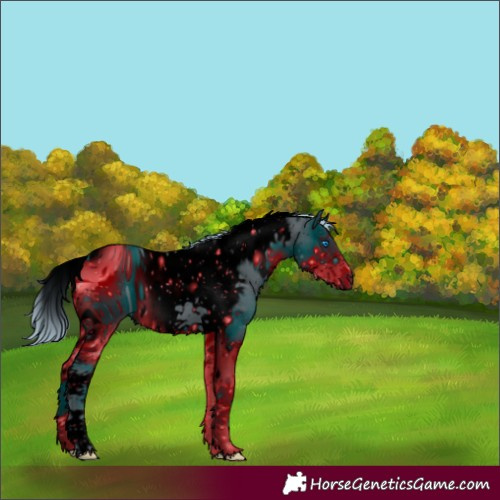 Horse Color:ERROR: UNKNOWN ANOMALY