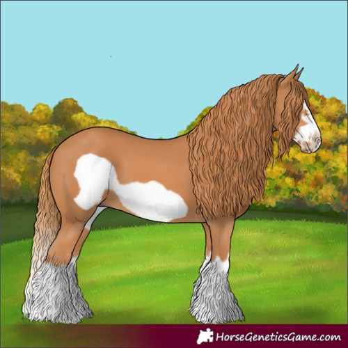 Horse Color:Chestnut Splash Frame 