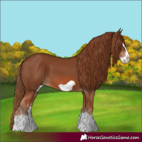 Horse Color:Chestnut Splash Frame