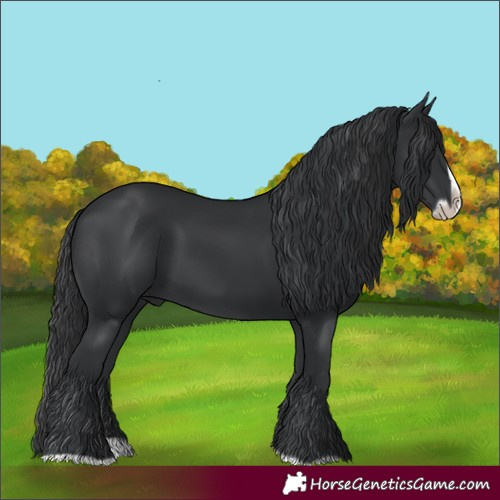 Horse Color:Black Splash Frame