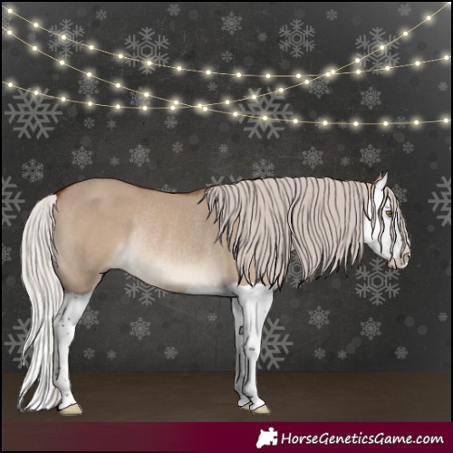Horse Color:Silver Bay Dun Splash Rabicano 