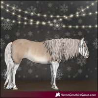 Horse Color:Silver Bay Dun Splash Rabicano