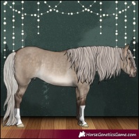 Horse Color:Silver Brown Dun Rabicano 