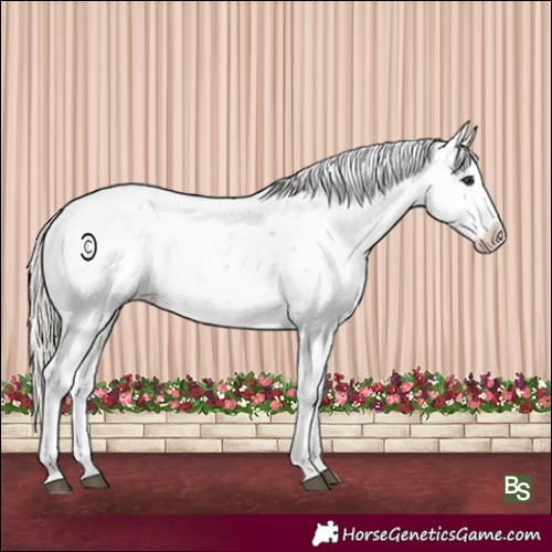 Horse Color:Silver Buckskin Sabino 