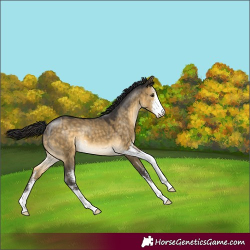Horse Color:Buckskin Dun Sabino 
