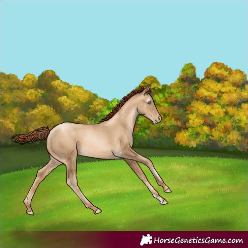 Horse Color:Gray Classic Cream Champagne Pearl 
