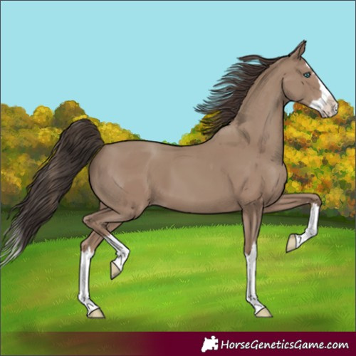 Horse Color:Classic Champagne Splash 
