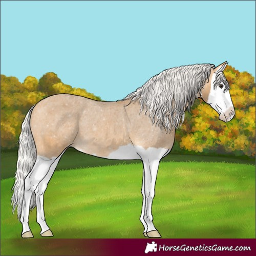 Horse Color:Silver Buckskin Splash Varnish 