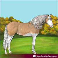 Horse Color:Silver Buckskin Splash Varnish 