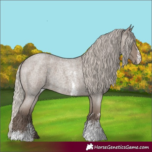 Horse Color:Silver Blue Roan Sabino 