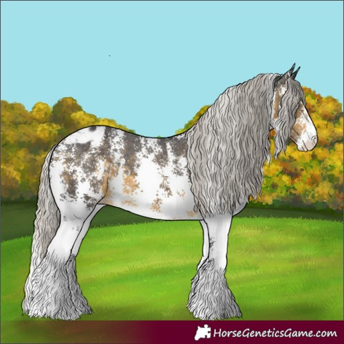Horse Color:Silver Buckskin Sabino Appaloosa 