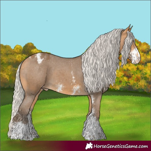 Horse Color:Silver Buckskin Sabino Appaloosa 