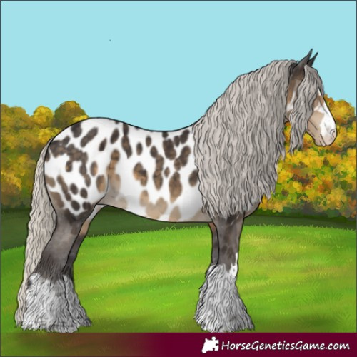 Horse Color:Silver Smoky Black Appaloosa