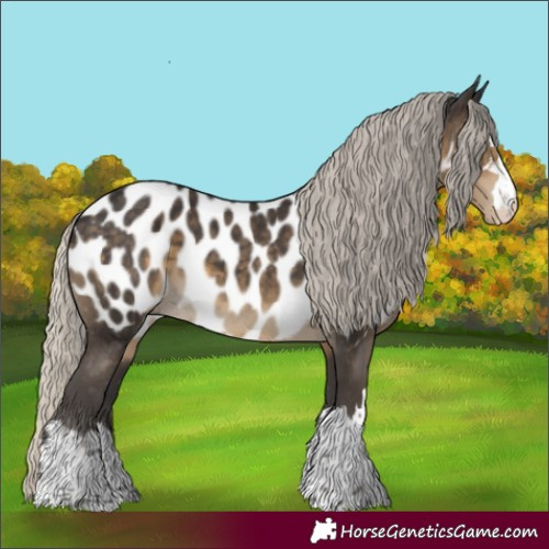 Horse Color:Silver Smoky Black Appaloosa 