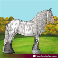 Horse Color:Silver Smoky Blue Roan Near Leopard