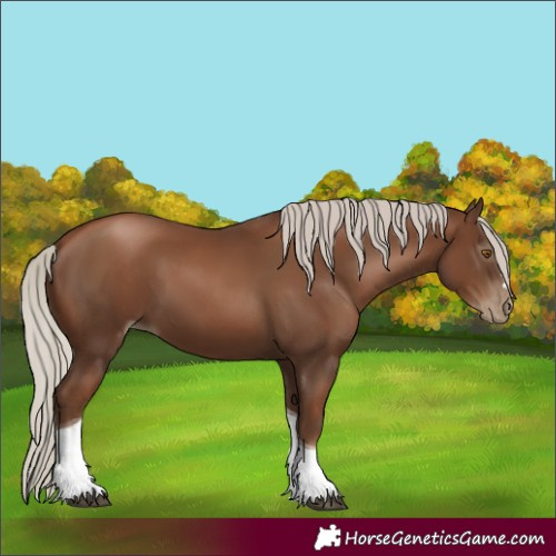 Horse Color:Gray Silver Black Pearl Tobiano