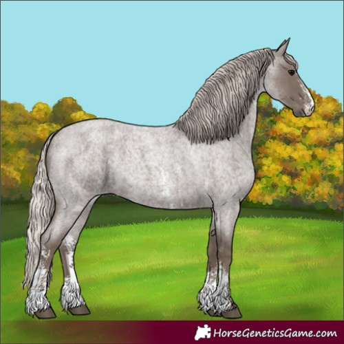 Horse Color:Silver Blue Roan Sabino 