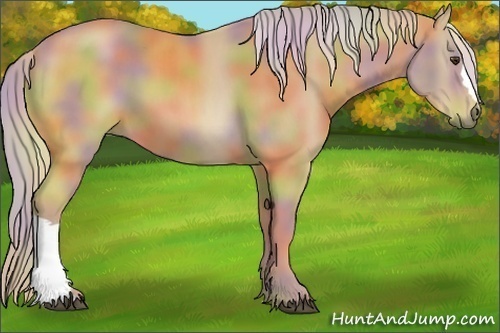 Horse Color:Nacre Palomino 