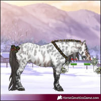 Horse Color:Blue Onyx Roan Leopard  and Brown Roan Near Leopard 