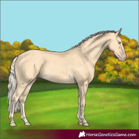 Horse Color:Gold Cream Champagne 
