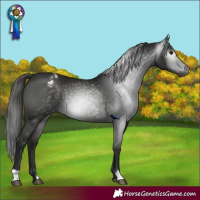 Horse Color:Gray Black Varnish 