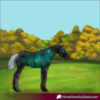 Horse Color:ERROR: UNKNOWN ANOMALY