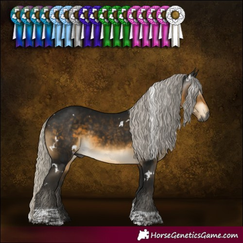 Horse Color:Gray White Spotted Silver Buckskin Tobiano 