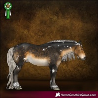 Horse Color:Gray White Spotted Silver Buckskin Tobiano