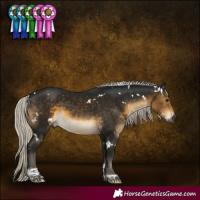 Horse Color:Gray White Spotted Silver Buckskin Tobiano 