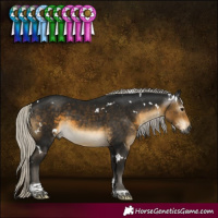 Horse Color:Gray White Spotted Silver Buckskin Tobiano 