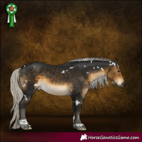 Horse Color:Gray White Spotted Silver Buckskin Tobiano 