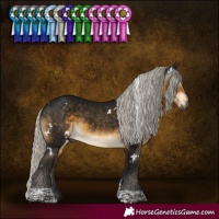Horse Color:Gray White Spotted Silver Buckskin Tobiano 