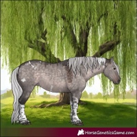 Horse Color:Platinum White Spotted Silver Brown Dun Tobiano Rabicano