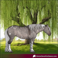 Horse Color:Platinum White Spotted Silver Brown Dun Tobiano Rabicano 