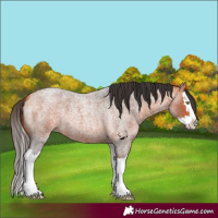 Horse Color:Bay Roan Splash 